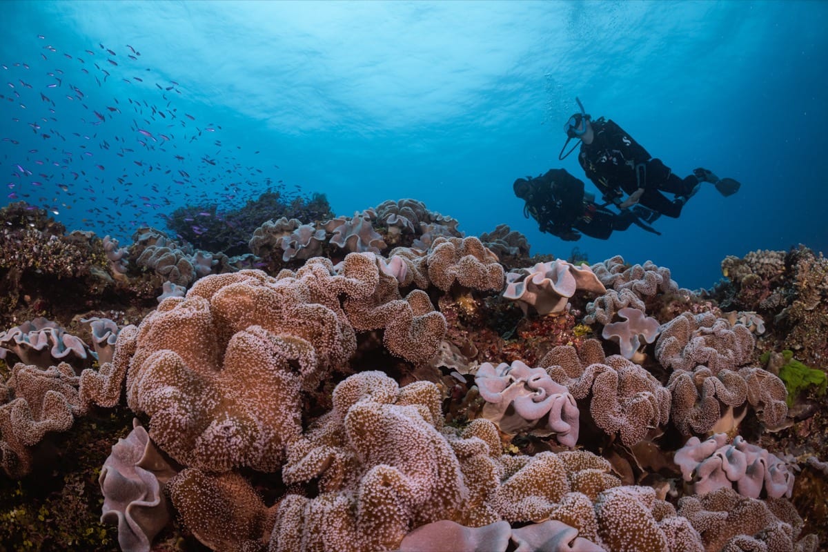 Wreck Diving