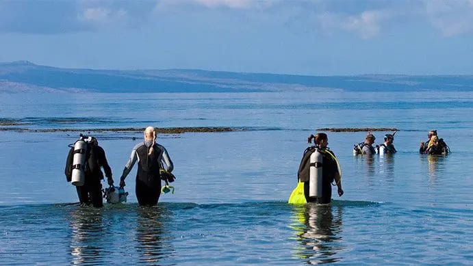 Your First 90 Days as a New PADI Instructor: A Roadmap